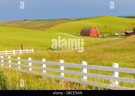 Juni 2018. USA, Idaho, Moskau. Region Palouse. Rote Scheune. Grüne Weizenfelder. Weißer Zaun. Stockfoto