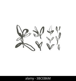 Handgezeichnete Thymian-Kräuterblätter im skurrilen minimalen Linienstil für organisches Design und natürliche Motive Stock Vektor