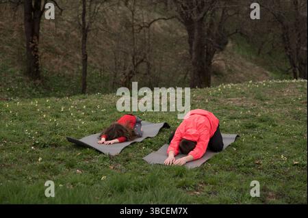 Zwei Individuen sind tief in einer ruhigen Yoga-Praxis inmitten üppiger Grünflächen engagiert und genießen die Ruhe der Natur in einem ruhigen frühen Morgenset Stockfoto