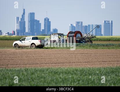 20. Mai 2025, Hessen, Frankfurt/Main: Ein Landwirt zieht mit einem Traktor eine Sprinkleranlage entlang einer Schotterstraße. Der wochenlange Niederschlag verursacht Probleme für die Landwirtschaft in weiten Teilen Deutschlands. Foto: Boris Roessler/dpa Stockfoto