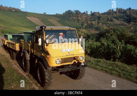 Unimog mit geernteten Rebstöcken, Stuttgart, Baden-Württemberg, Unimog mit geernteten Rebstöcken, Uhlbach, Baden-Württemberg, Landschaft, h Stockfoto