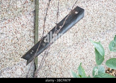 Alte, rostige Barbettdraht hängt über einer grauen Zementwand Stockfoto