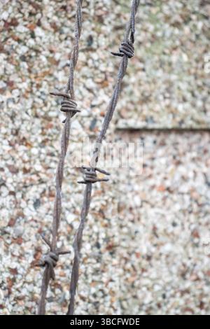 Alte, rostige Barbettdraht hängt über einer grauen Zementwand Stockfoto