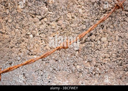 Alte, rostige Barbettdraht hängt über einer grauen Zementwand Stockfoto