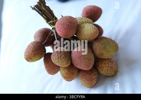 Nahaufnahme eines Litschi-Busches, der an einem Zweig hängt, raue rot-rosa Haut und dünne Stiele in feuchter Beleuchtung. . Hochwertige Fotos Stockfoto