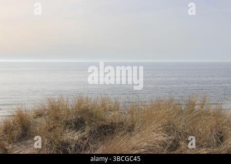 Goldene Sanddünen bedeckt mit trockenem, gelbem Gras mit Blick auf die ruhige Ostsee. Das ruhige Wasser und das sanfte Licht vom Himmel. Stockfoto