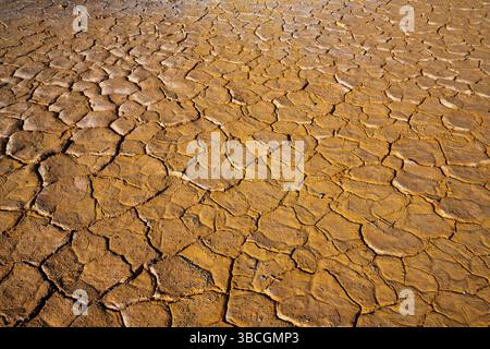 Niedriger Winkel Hintergrund von rot braun geknackt getrocknete Wüstenerde Stockfoto