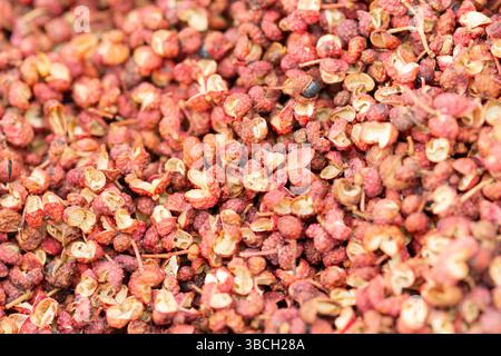 Sichuan Pepper Seeds, Zantoxylum Simulans Stockfoto