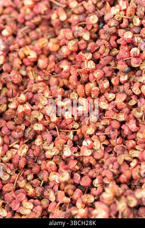 Sichuan Pepper Seeds, Zantoxylum Simulans Stockfoto