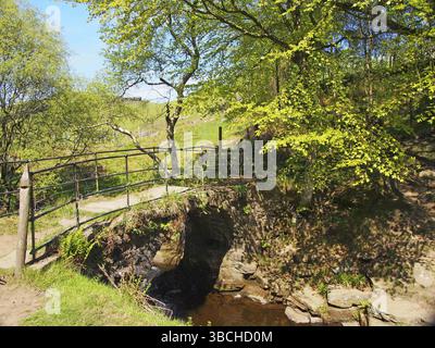 Die alte Packhorse Bridge am lumb Hole fällt einen Wasserfall im Wald bei Crimsworth Decan nahe Pecket Well in calderdale im Westen yorkshires Stockfoto