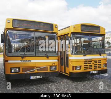Funchal, madeira, portugal, 13. märz 2019: Zwei typische gelbe öffentliche Busse parken am Busbahnhof in funchal madeira Stockfoto