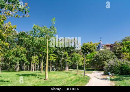Ein gewundener Pfad führt durch einen üppigen Baumhain und einen gepflegten Rasen zu einem Pavillon mit Ziegeldach in den Turia Gardens unter einem klaren blauen Himmel. Stockfoto