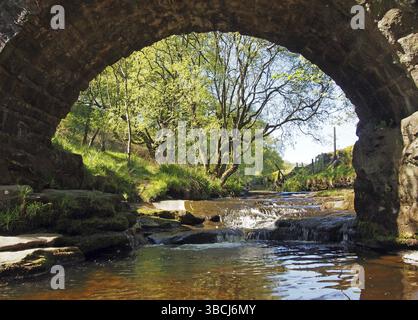 TA-Blick unter der alten Packhorse Bridge bei lumb Hole Falls in Forest am Crimsworth Decan nahe dem Pecket Well in calderdale im Westen yorkshires Stockfoto