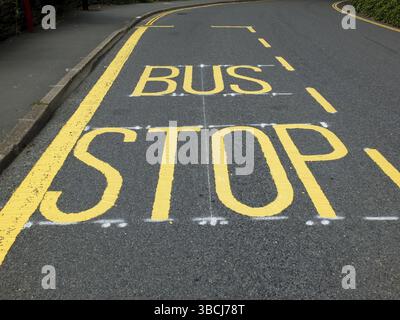 Neu lackiertes gelbes Straßenschild für Bushaltestellen und Markierungen auf einer schwarzen asphaltierten schmalen Landstraße Stockfoto