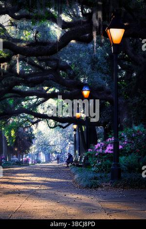 Eine Reihe von Lampen auf dem Bürgersteig rund um den Forsyth Park in Savannah, Georgia. Stockfoto