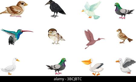 Set von farbenfrohen Zeichentrickvögeln einschließlich Eulen, Tauben, Pelikanen, Möwen, Krähen, sparrow, Ente und Kolibri auf weißem Hintergrund Stock Vektor