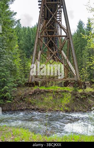 Der Salt Creek fließt unter dem Eisenbahnbock in der Nähe von Oakridge in Oregon, USA Stockfoto