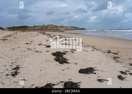 Embleton Bay, Northumberland Küste, UK Stockfoto