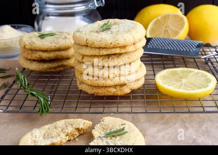 Rosmarin-Lemon Sugar Cookies gestapelt auf einem Drahtgestell: Seitenansicht von gestapelten frisch gebackenen selbstgemachten Zuckerkeksen auf einem Drahtgestell Stockfoto