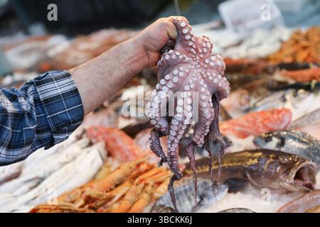 Der Händler stellt frisch gefangenen Tintenfisch auf dem Fischmarkt in Griechenland vor. Verschiedene Arten von Fisch und Muscheln umgeben den Verkäufer und schaffen eine lebhafte Atmosphäre. Horizontal. Stockfoto