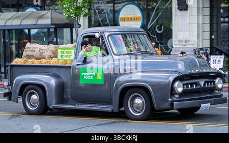 Ein Vintage Mercury M-100 Pickup Truck bei der Victoria Day Parade am 19. Mai 2025 in Victoria, British Columbia, Kanada. Stockfoto