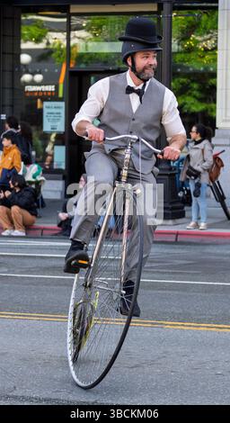 Ein Fahrer auf einem Penny-Farthing-Fahrrad bei der Victoria Day Parade am 19. Mai 2025 in Victoria, British Columbia, Kanada. Stockfoto