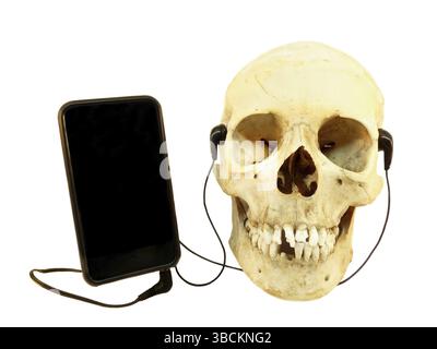 Menschlicher Schädel, der Musik auf einem mobilen Gerät mit isolierten Ohrhörern auf weißem Hintergrund hört Stockfoto
