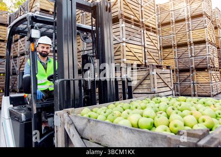 Beladen von Äpfeln mit Gabelstapler, Transport von Waren zu industriellem Produktionssaft Stockfoto