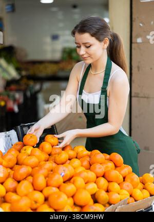 Arbeiten im Supermarkt - weibliche Verkäuferin sortiert reife Mandarinen auf der Vitrine Stockfoto
