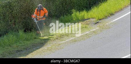Ein stadtarbeiter Clearing am Straßenrand von Gras und Unkraut mit einem weed Eater Stockfoto