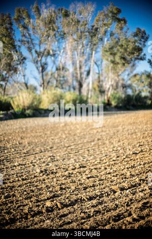 Frisch gewordener Boden erstreckt sich über die Landschaft von Sevilla, umgeben von üppigem Grün und Bäumen unter einem klaren blauen Himmel. Stockfoto