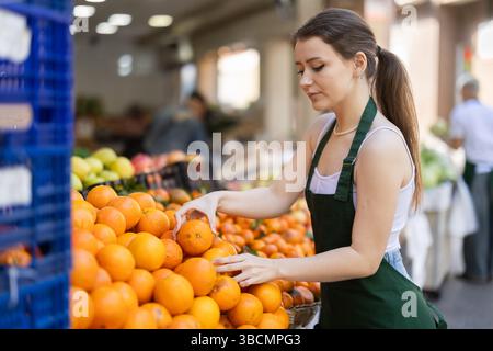 Arbeiten im Supermarkt - weibliche Verkäuferin sortiert reife Mandarinen auf der Vitrine Stockfoto