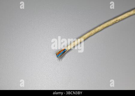Abgeschnittenes beiges Netzwerkkabel, beschädigtes Kabel auf grauem Hintergrund Stockfoto