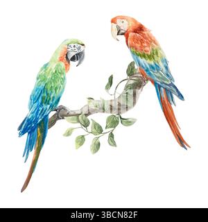 Aras Papageien sitzen auf einem Ast. Blauer und roter Vogel, Aquarell. Handgezeichnete Vektorgrafik. Für Postkarten, Einladungen, große Banner für den Sommer Stock Vektor