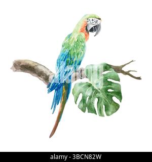 Ara-Papagei sitzt auf einem tropischen Zweig, Aquarell. Handgezeichnete Vektorgrafik. Für Postkarten, Einladungen, große Banner für den Sommer, Poster, Etiketten Stock Vektor