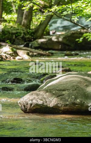 Der kaskadierende Gebirgsbach in Jasper, Georgia. (USA) Stockfoto