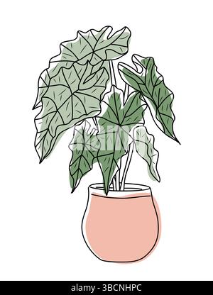 Alocasia Topfhaus Pflanze Vektorskizze isoliert Stock Vektor