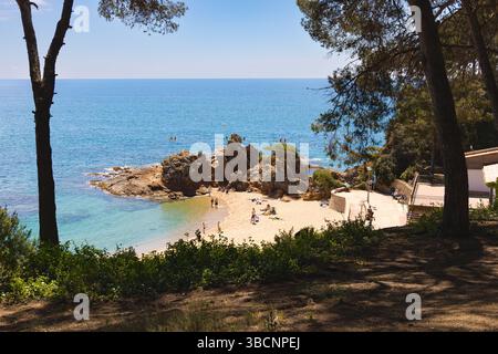 Blick auf den Sandstrand Fenals in Lloret de Mar, Spanien, von einem Kiefernwald aus. Die Menschen entspannen sich am klaren türkisfarbenen Meer und am felsigen Felsvorsprung. Sonniger Tag. Stockfoto