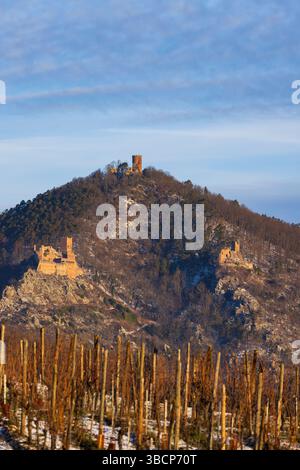 Ruinen von Catle Chateau de Saint-Ulrich, Chateau du Girsberg und Chateau du Haut-Ribeaupierre bei Ribeauville, Elsass, Frankreich Stockfoto