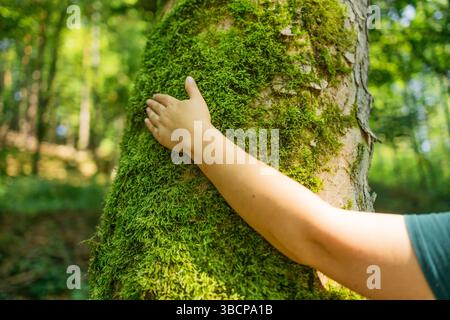 Frauenhand berührt moosy Tree Trunk im Wald Stockfoto