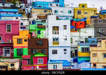 Saha, Südkorea. April 2025. Ein allgemeiner Blick auf das Gamcheon Culture Village in Busan, Südkorea, zeigt Reihen von bunten Häusern entlang des Hügels. Ursprünglich eine Siedlung für Flüchtlinge aus dem Koreakrieg in den 1950er Jahren, wurde das Gebiet durch ein Stadterneuerungsprojekt von 2009 in ein kulturelles und künstlerisches Wahrzeichen verwandelt. Heute zieht das Dorf jährlich Tausende von Touristen an, die seine einzigartige Mischung aus Geschichte, Kultur und Kreativität sehen. Quelle: SOPA Images Limited/Alamy Live News Stockfoto