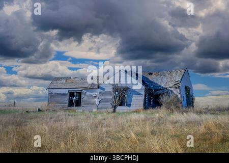 Ein altes verlassenes Bauernhaus auf einer Weizenfarm im Pawnee National Grasslands, colorado, USA. Stockfoto