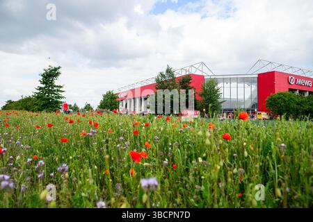 MAINZ, DEUTSCHLAND - 17. MAI 2025: Allgemeine Ansicht der MEWA ARENA, dem Heimstadion von 1. FSV Mainz 05, hinter einem bunten blühenden Wildblumenfeld. Creati Stockfoto