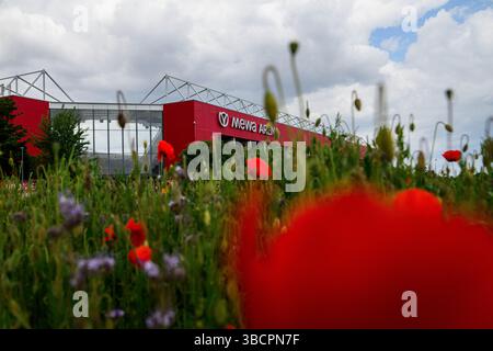 MAINZ, DEUTSCHLAND - 17. MAI 2025: Allgemeine Ansicht der MEWA ARENA, dem Heimstadion von 1. FSV Mainz 05, hinter einem bunten blühenden Wildblumenfeld. Creati Stockfoto