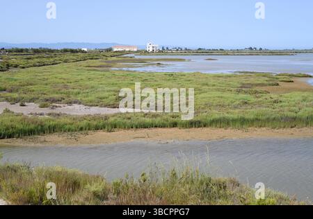 Ebro-Delta, alte Salzflächen. Montsià, Tarragona, Katalonien, Spanien. Stockfoto