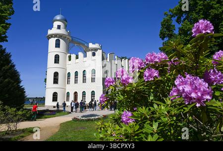 Berlin, Deutschland. Mai 2025. Der Palast auf Peacock Island wird am 25. Mai nach seiner vollständigen Renovierung wieder für Besucher geöffnet. Die Stiftung Preußische Schlösser und Gärten Berlin-Brandenburg (SPSG) hat die im September 2021 begonnene komplette Renovierung des Schlosses auf der Berliner Pfaueninsel abgeschlossen. Quelle: Jens Kalaene/dpa/Alamy Live News Stockfoto
