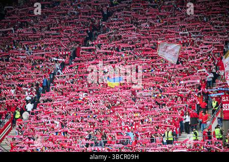 MAINZ, DEUTSCHLAND - 17. MAI 2025: Riesige Zuschauermenge von 1. FSV Mainz 05 Supporters hält bei einem Heimspiel in der Bundesliga bei MEWA A A gemeinsam rote Tücher hoch Stockfoto