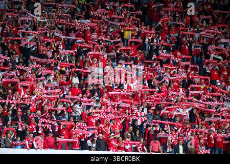 MAINZ, DEUTSCHLAND - 17. MAI 2025: Riesige Zuschauermenge von 1. FSV Mainz 05 Supporters hält bei einem Heimspiel in der Bundesliga bei MEWA A A gemeinsam rote Tücher hoch Stockfoto