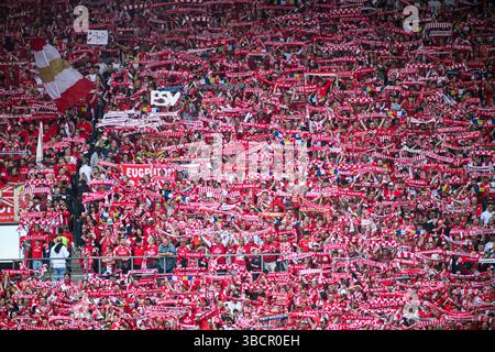 MAINZ, DEUTSCHLAND - 17. MAI 2025: Riesige Zuschauermenge von 1. FSV Mainz 05 Supporters hält bei einem Heimspiel in der Bundesliga bei MEWA A A gemeinsam rote Tücher hoch Stockfoto