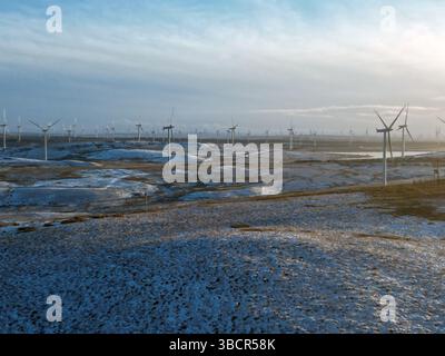 Whitelee Wind Farm in Schottland – der größte Onshore-Windpark Großbritanniens, der erneuerbare Energie vor nebeliger Winterkulisse erzeugt Stockfoto